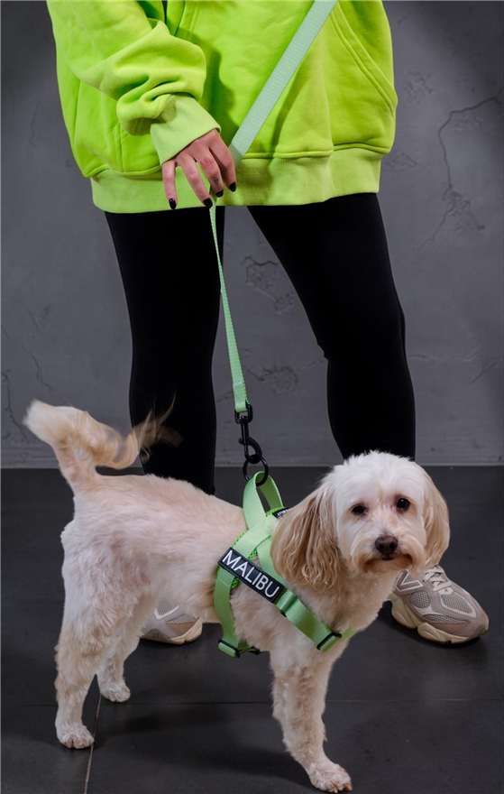 Midori Splice personalised harness 1