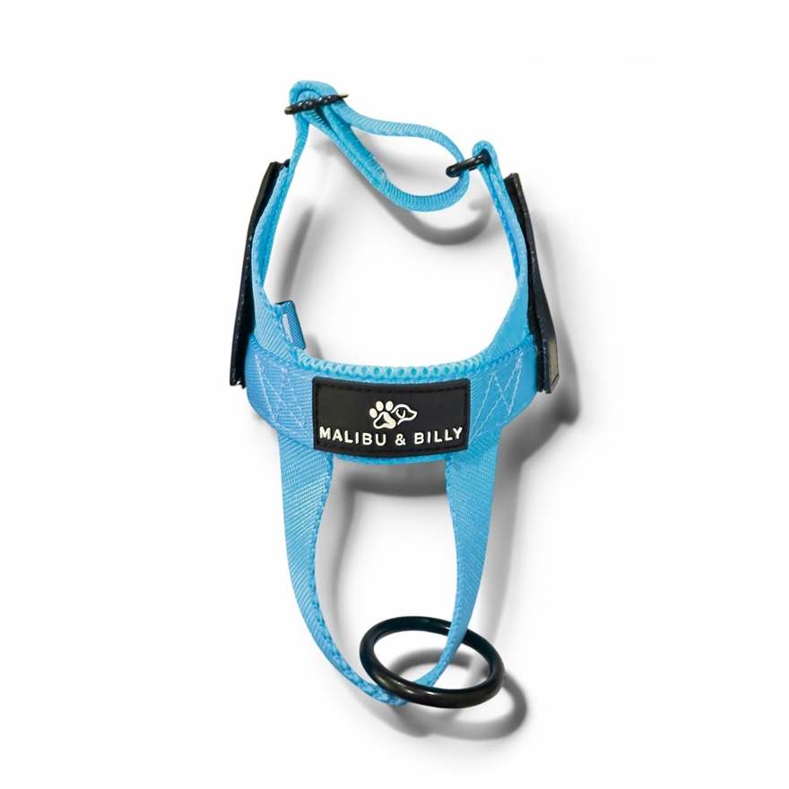 Blue Lagoon personalised harness 3