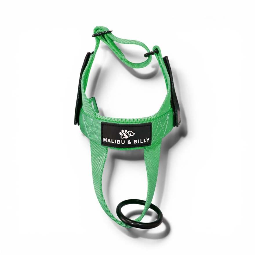 Midori Splice personalised harness 3