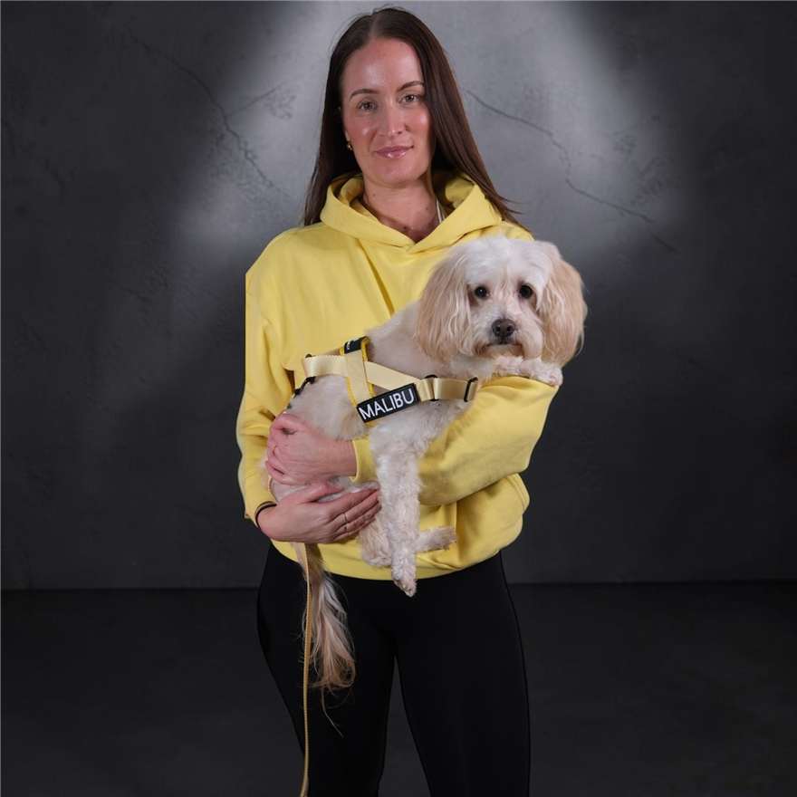 Lemon Drop premium dog lead 2