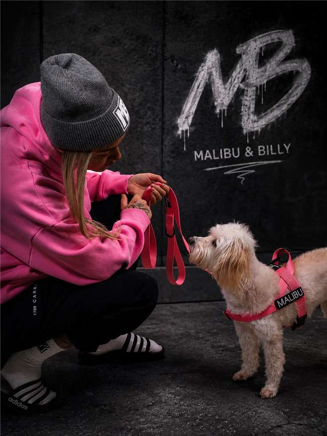 Hot Mess Pink personalised harness 2