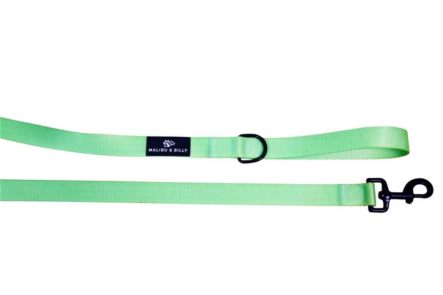 Midori Splice premium dog lead 6