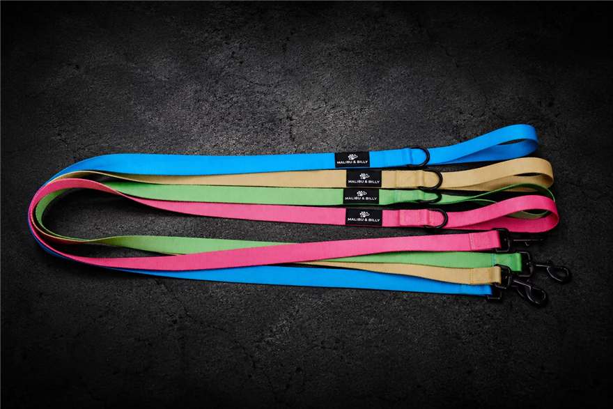 Blue Lagoon premium dog lead 5