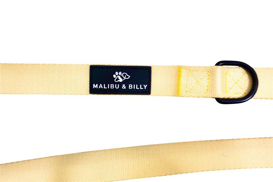 Lemon Drop premium dog lead 5