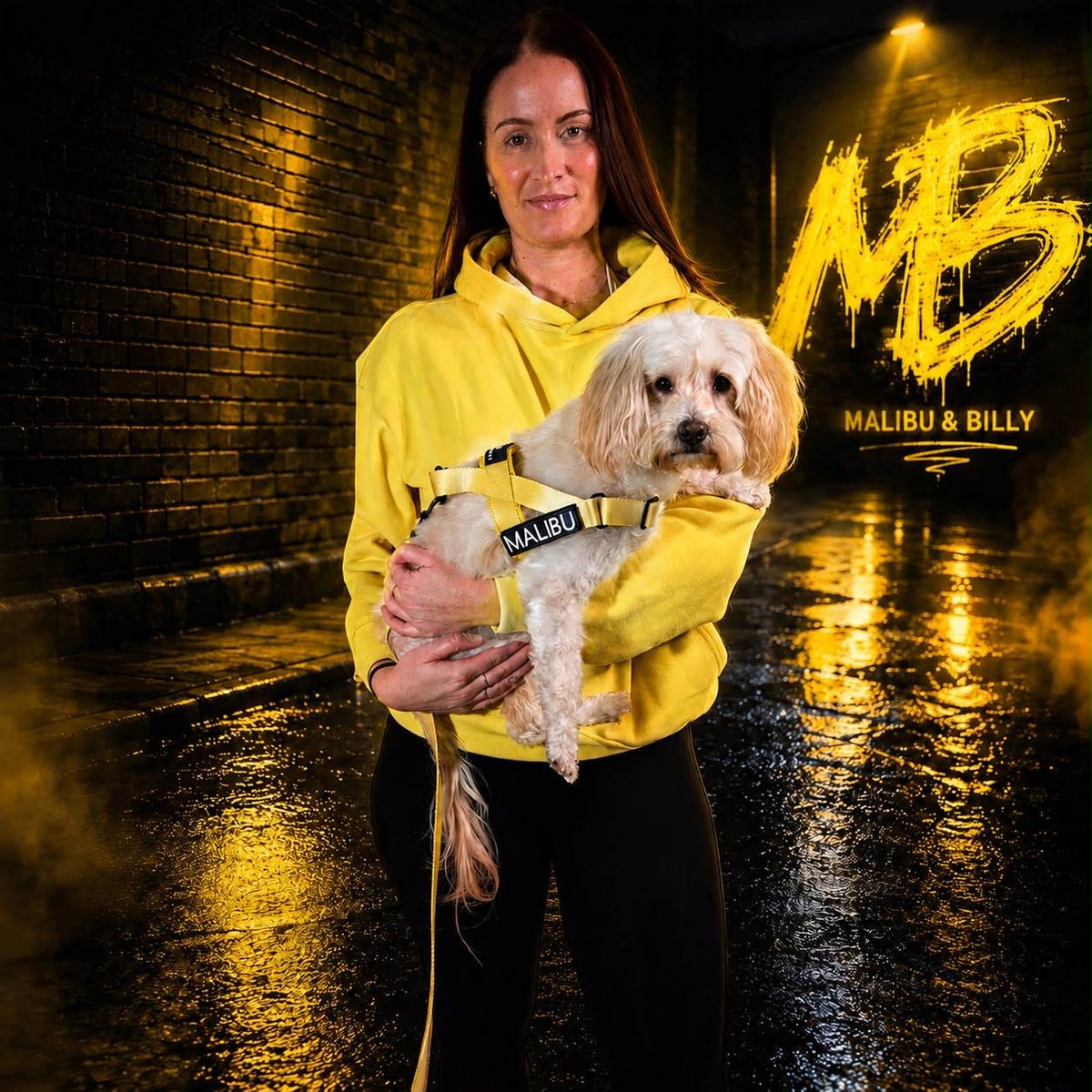 Lemon Drop harness and lead combo 3
